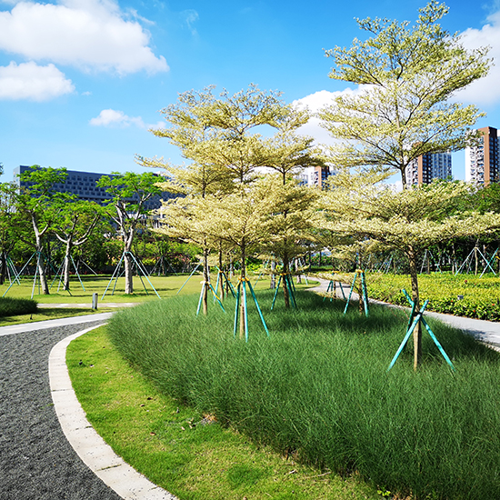 深圳地鐵前海車輛段上蓋物業項目 8、9 號地塊園林景觀工程